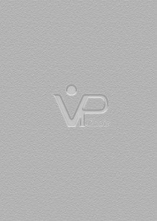 VP합창단